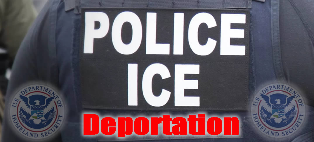 directrices provisionales de ICE